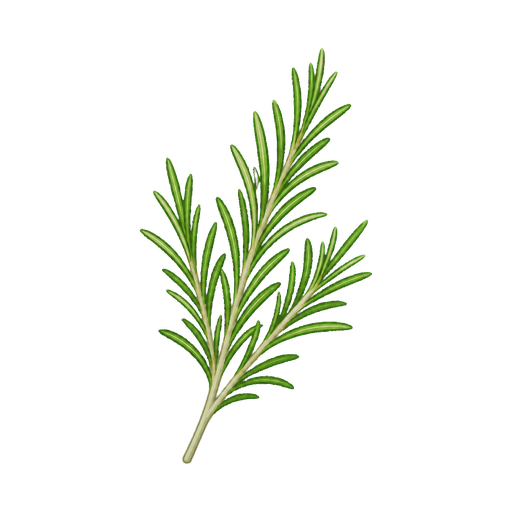 Rosmarino