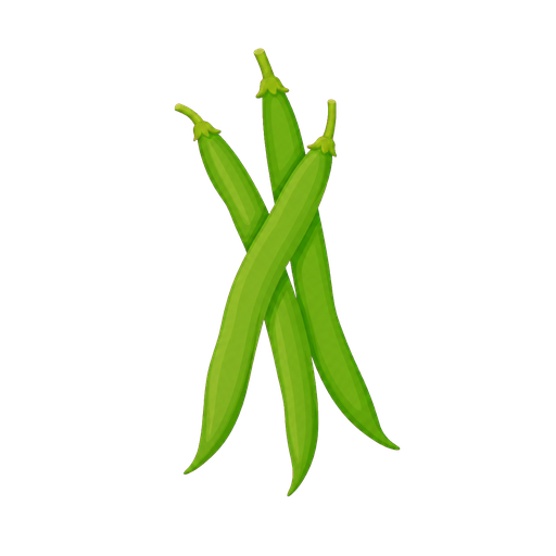 Fagiolino