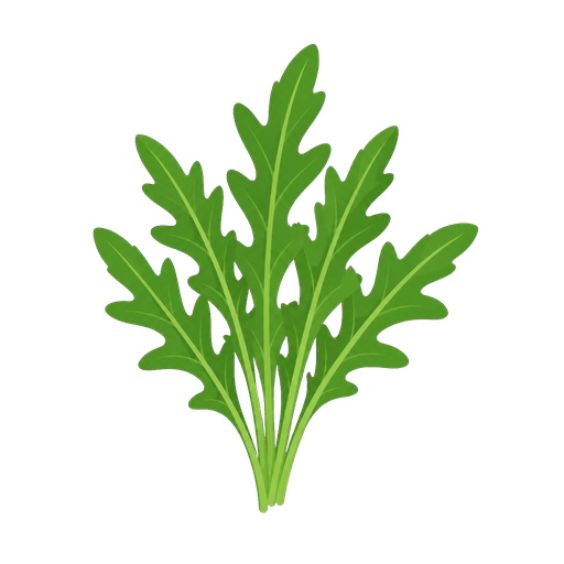 Arugula
