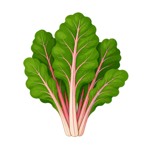 Swiss chard