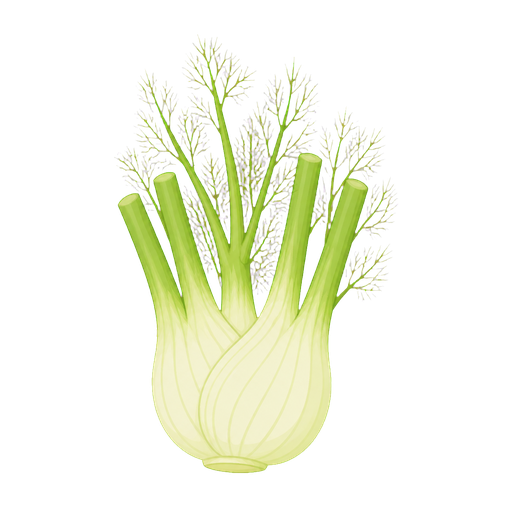 Fennel