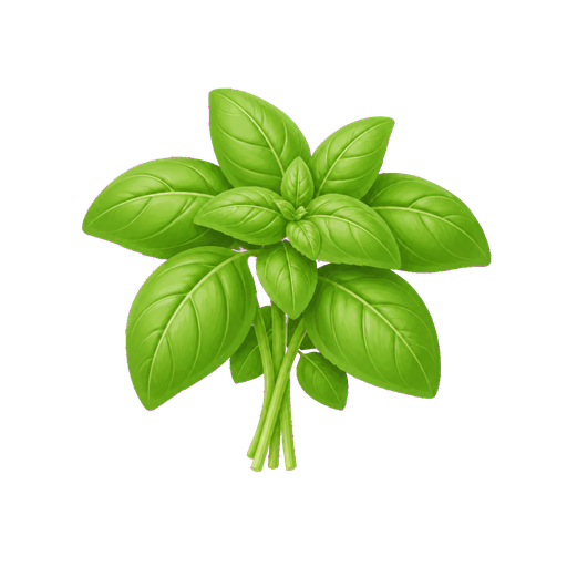 Basil